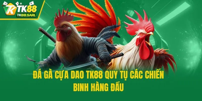 Đá gà cựa dao TK88 quy tụ các chiến binh hàng đầu