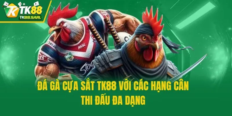Đá gà cựa sắt TK88 với các hạng cân thi đấu đa dạng