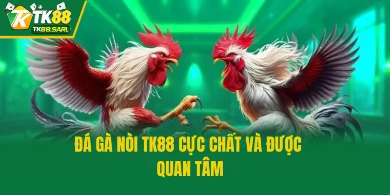 Đá gà nòi TK88 cực chất và được quan tâm