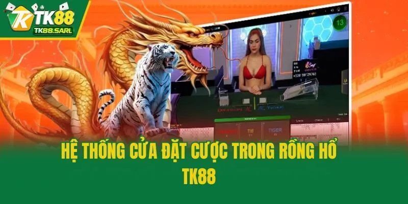 Hệ thống cửa đặt cược trong Rồng Hổ TK88