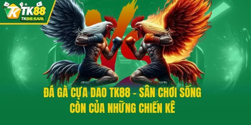 Đá Gà Cựa Dao Tk88 - Sân Chơi Sống Còn Của Những Chiến Kê