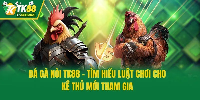 Đá Gà Nòi TK88 - Tìm Hiểu Luật Chơi Cho Kê Thủ Mới Tham Gia