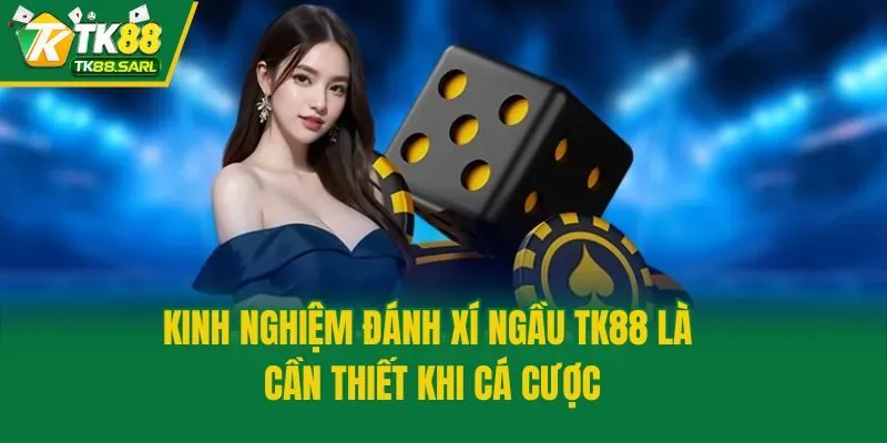 Kinh nghiệm đánh xí ngầu TK88 là cần thiết khi cá cược