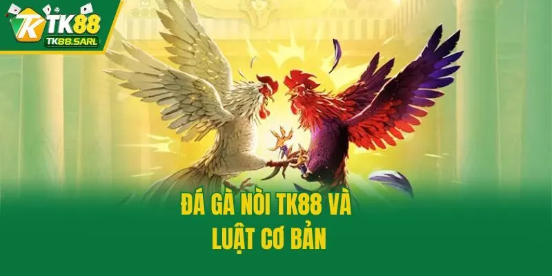 Đá gà nòi TK88 và luật cơ bản