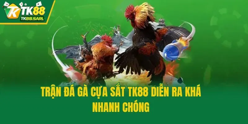 Trận đá gà cựa sắt TK88 diễn ra khá nhanh chóng